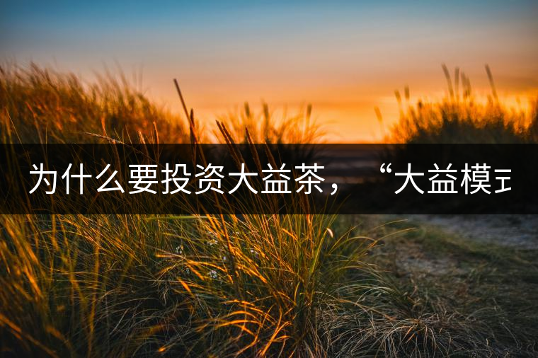 為什么要投資大益茶，“大益模式”告訴你！