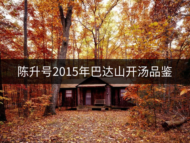 陳升號(hào)2015年巴達(dá)山開湯品鑒 陳升號(hào)2015年巴達(dá)山開湯品鑒
