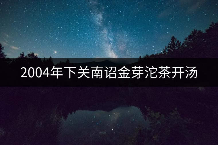 2004年下關(guān)南詔金芽沱茶開湯