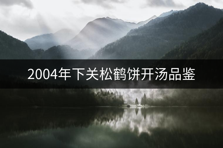 2004年下關松鶴餅開湯品鑒