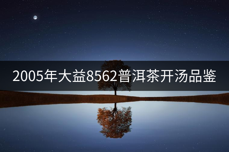 2005年大益8562普洱茶開湯品鑒 2005年大益8562普洱茶開湯品鑒
