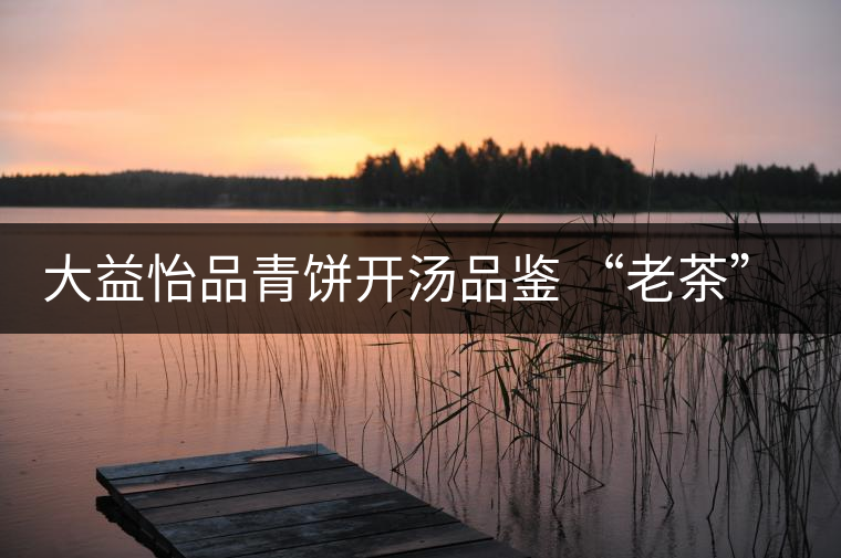 大益怡品青餅開湯品鑒 “老茶”韻