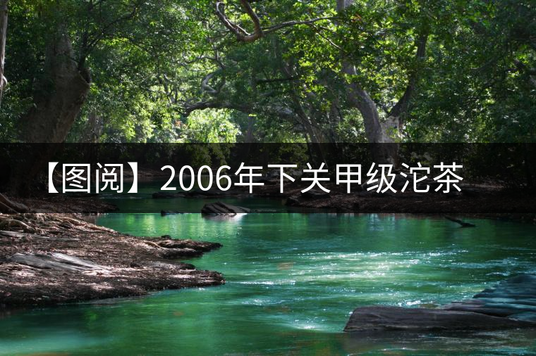 【圖閱】2006年下關甲級沱茶開湯 【圖閱】2006年下關甲級沱茶開湯
