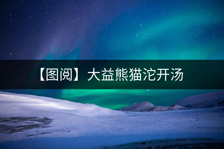 【圖閱】大益熊貓沱開湯