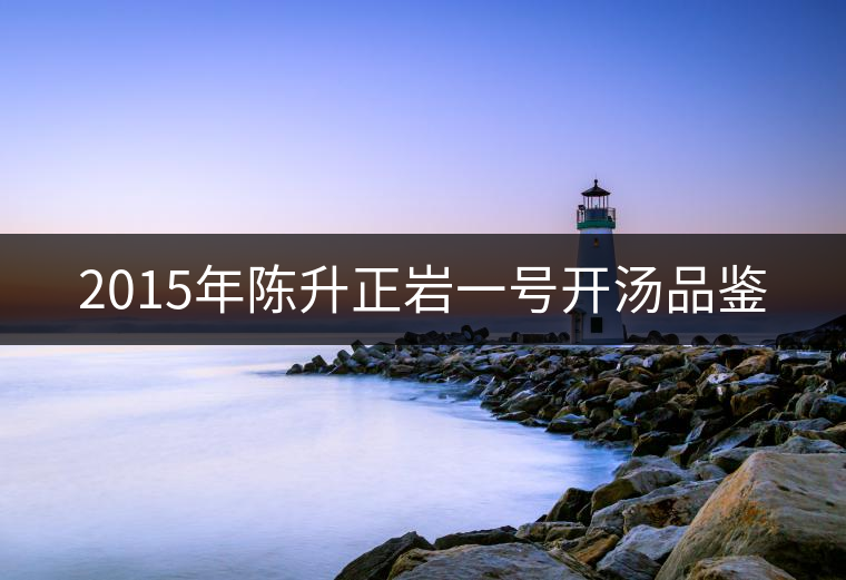 2015年陳升正巖一號開湯品鑒 2015年陳升正巖一號開湯品鑒