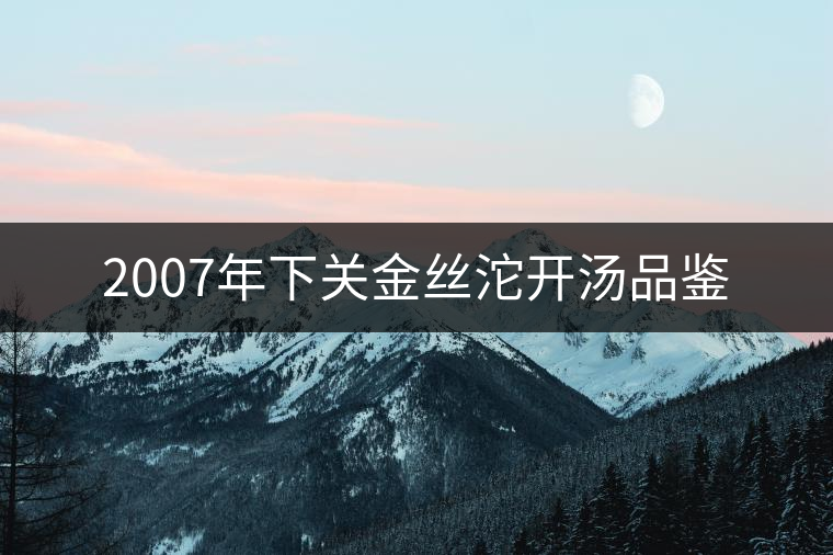 2007年下關金絲沱開湯品鑒 2007年下關金絲沱開湯品鑒