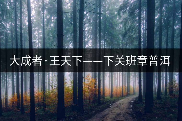 大成者·王天下——下關(guān)班章普洱茶開湯品鑒 大成者·王天下——下關(guān)班章普洱茶開湯品鑒