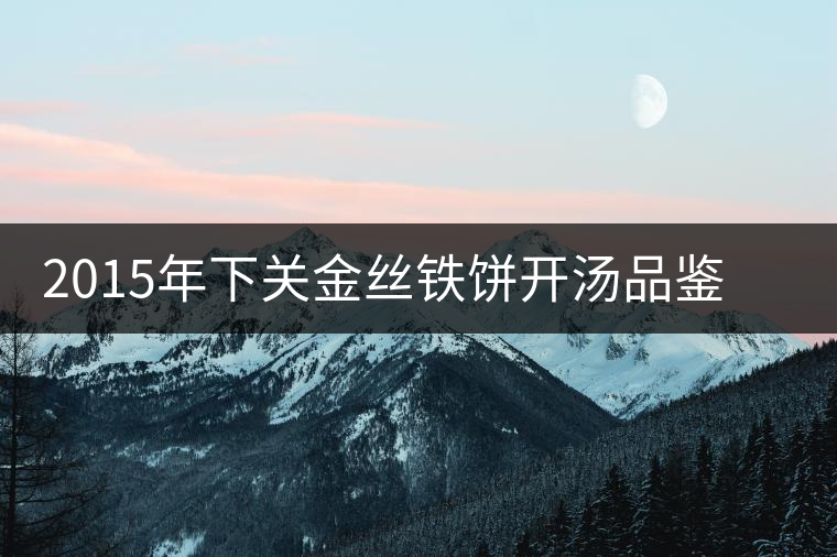 2015年下關(guān)金絲鐵餅開(kāi)湯品鑒：香氣高揚(yáng)、滋味綿和