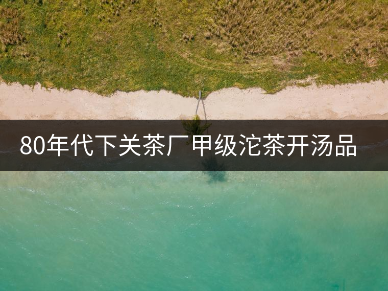 80年代下關(guān)茶廠甲級(jí)沱茶開(kāi)湯品鑒