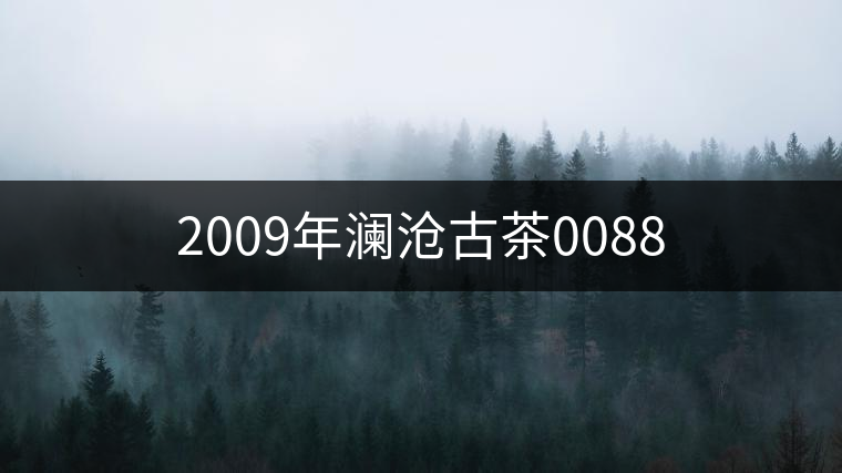 2009年瀾滄古茶0088 2009年瀾滄古茶0088