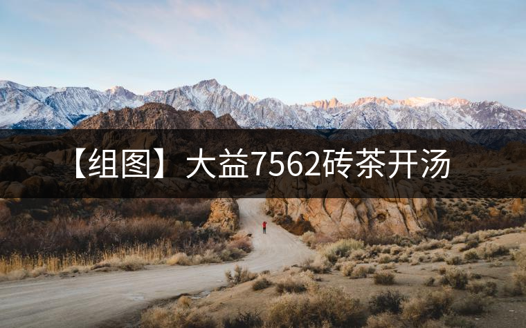 【組圖】大益7562磚茶開(kāi)湯