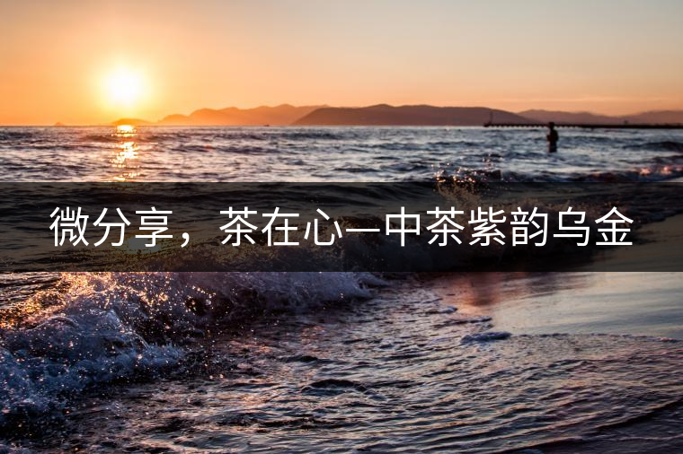微分享，茶在心—中茶紫韻烏金