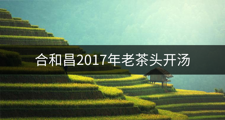 合和昌2017年老茶頭開湯