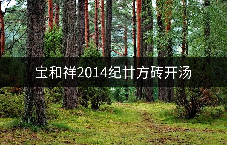 寶和祥2014紀(jì)廿方磚開湯
