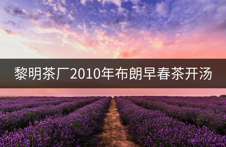 黎明茶廠2010年布朗早春茶開湯 黎明茶廠2010年布朗早春茶開湯