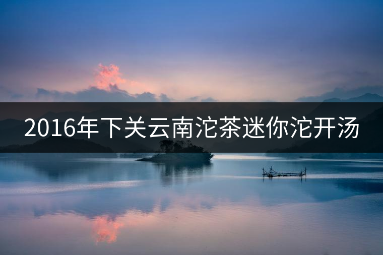 2016年下關(guān)云南沱茶迷你沱開湯