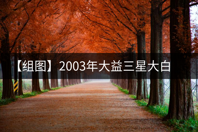 【組圖】2003年大益三星大白菜開湯
