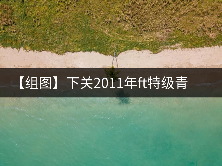 【組圖】下關(guān)2011年ft特級(jí)青餅開(kāi)湯