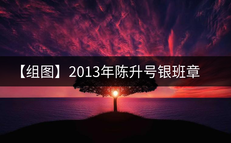 【組圖】2013年陳升號銀班章磚茶開湯