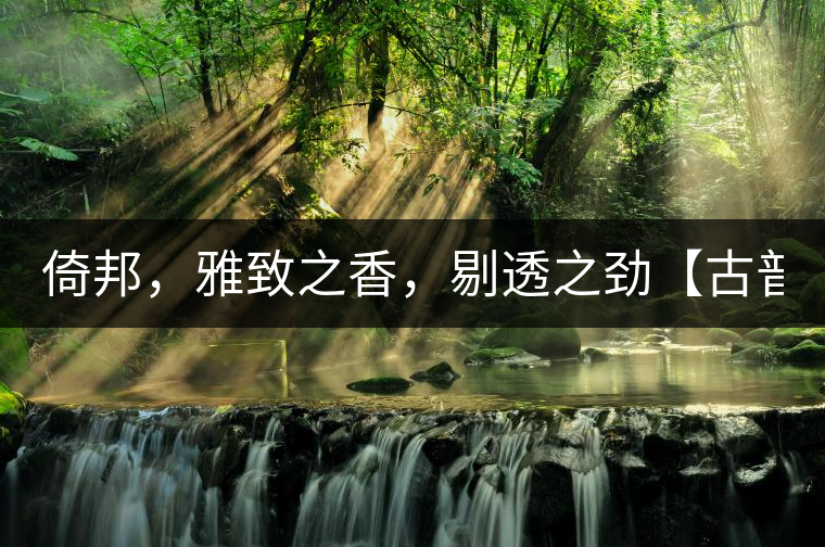 倚邦，雅致之香，剔透之勁【古普十二山品鑒】