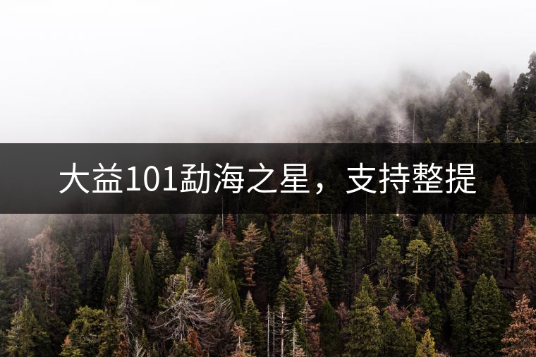 大益101勐海之星，支持整提