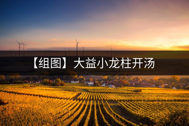 【組圖】大益小龍柱開湯