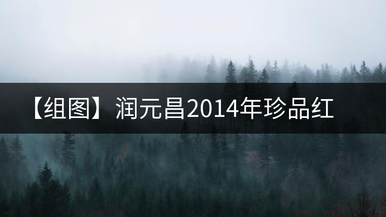 【組圖】潤(rùn)元昌2014年珍品紅印開(kāi)湯