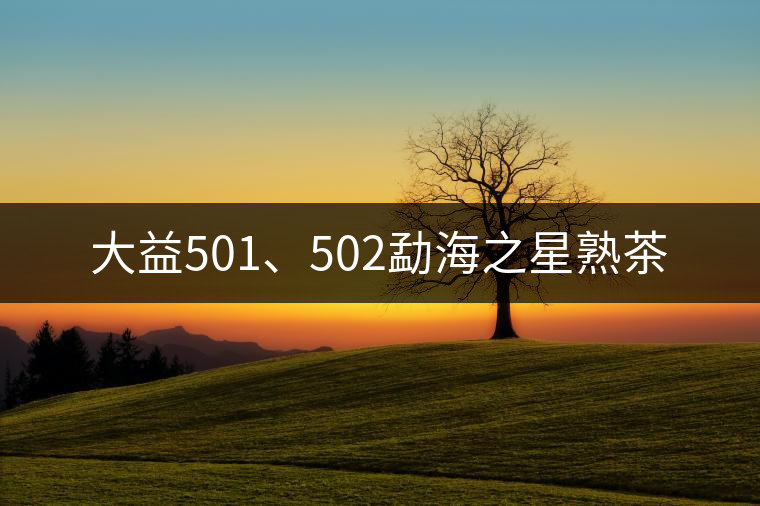 大益501、502勐海之星熟茶