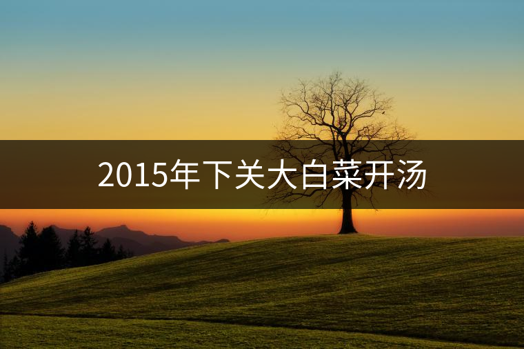 2015年下關(guān)大白菜開湯 2015年下關(guān)大白菜開湯