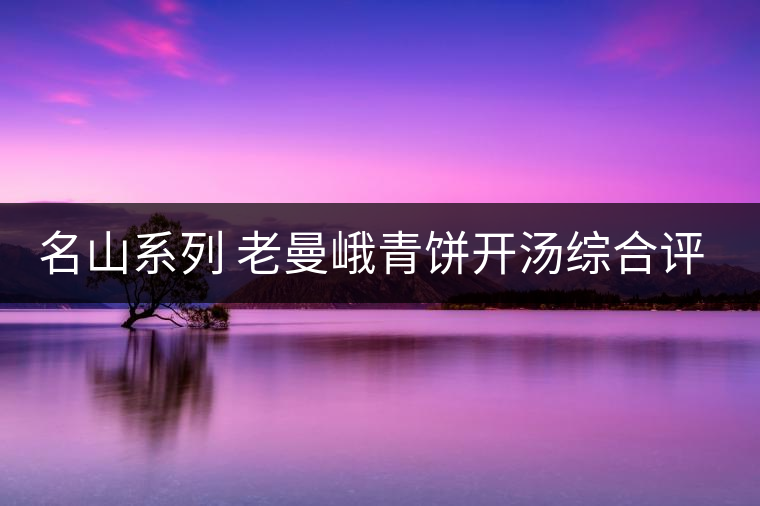名山系列 老曼峨青餅開(kāi)湯綜合評(píng)測(cè)