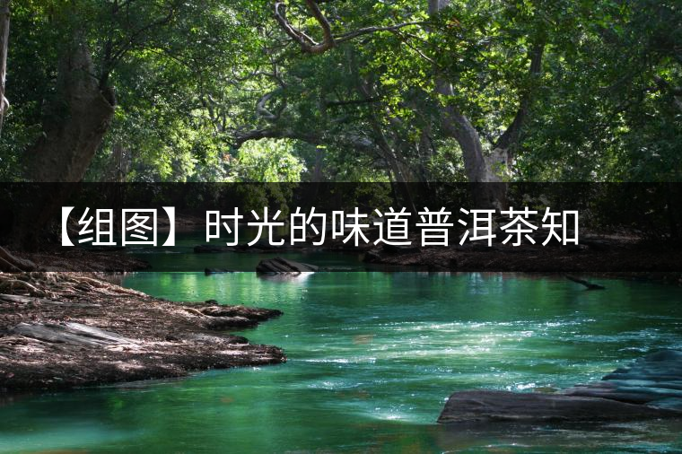 【組圖】時(shí)光的味道普洱茶知道