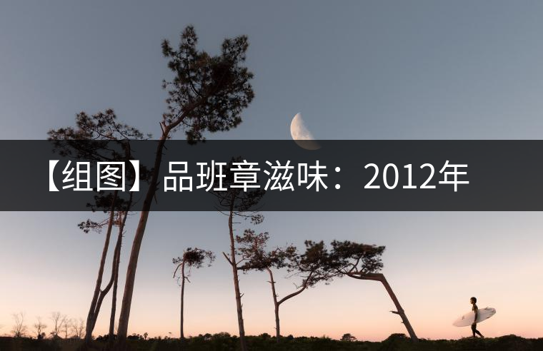 【組圖】品班章滋味：2012年陳升號(hào)銀班章開(kāi)湯