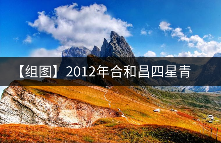 【組圖】2012年合和昌四星青餅開湯 【組圖】2012年合和昌四星青餅開湯