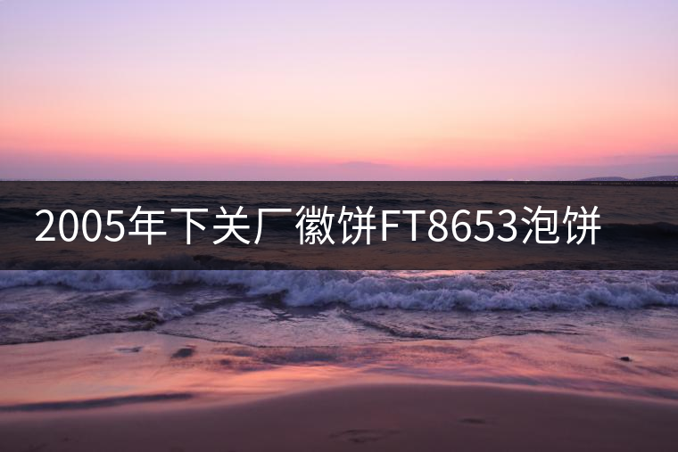 2005年下關(guān)廠徽餅FT8653泡餅開湯