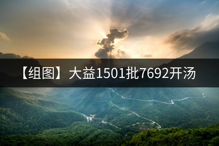 【組圖】大益1501批7692開(kāi)湯