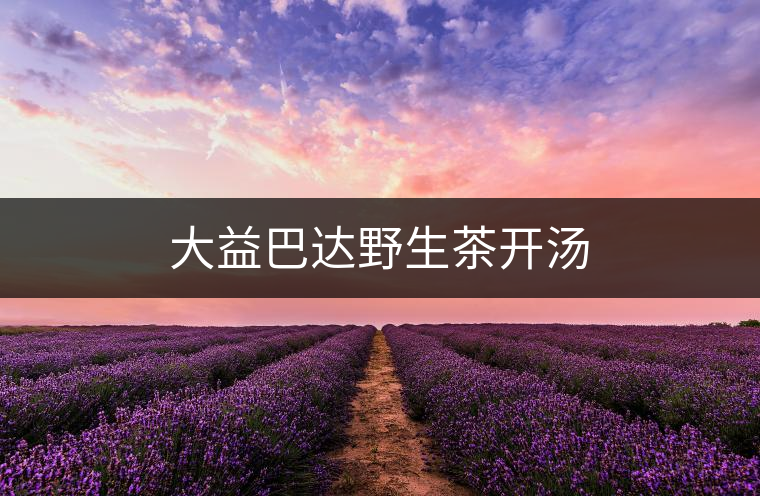 大益巴達(dá)野生茶開湯