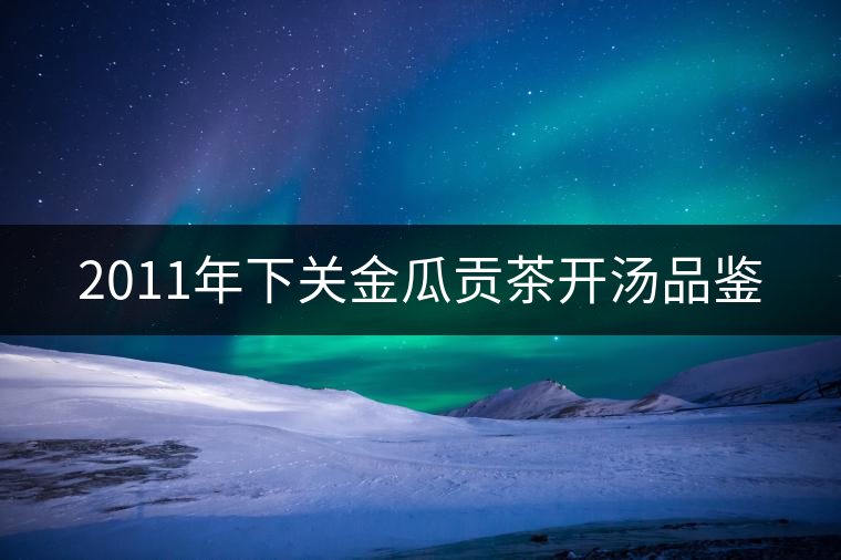 2011年下關(guān)金瓜貢茶開(kāi)湯品鑒