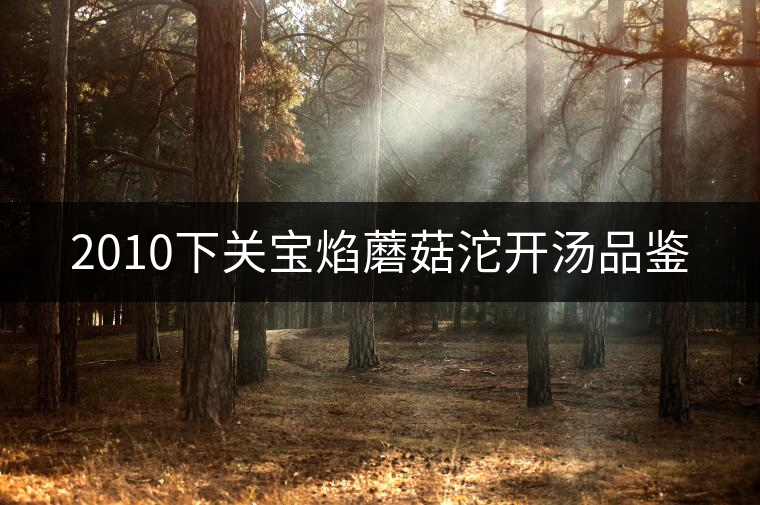 2010下關(guān)寶焰蘑菇沱開(kāi)湯品鑒 2010下關(guān)寶焰蘑菇沱開(kāi)湯品鑒