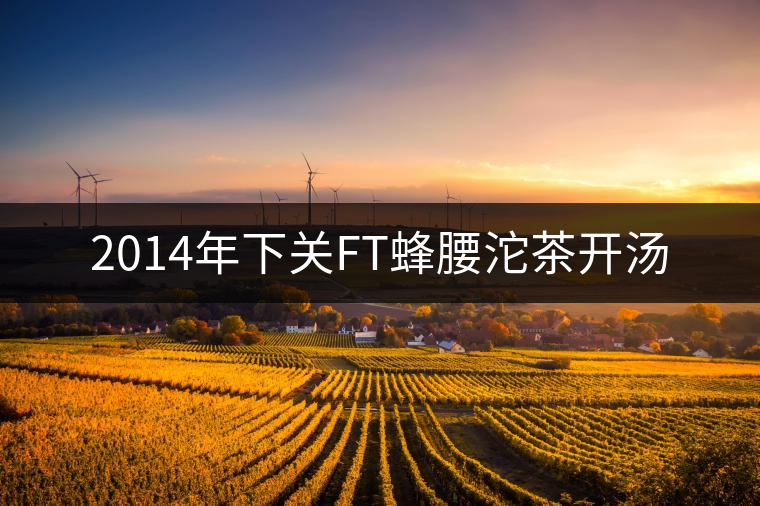 2014年下關(guān)FT蜂腰沱茶開湯