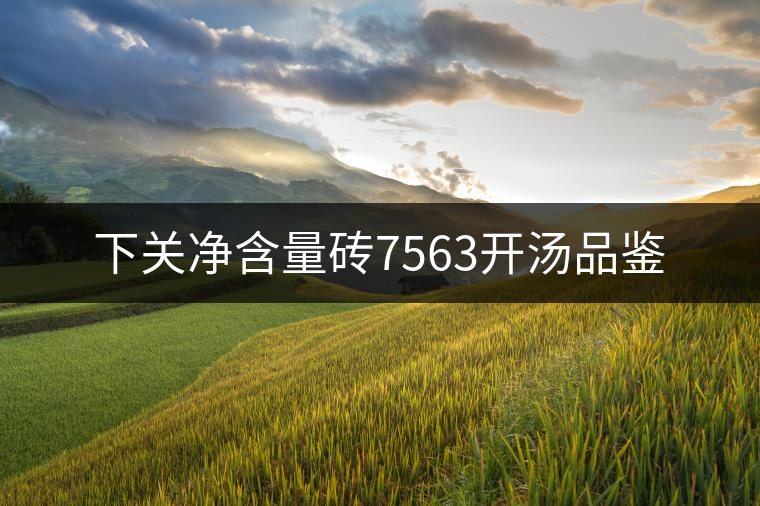 下關(guān)凈含量磚7563開湯品鑒