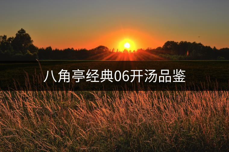 八角亭經(jīng)典06開湯品鑒