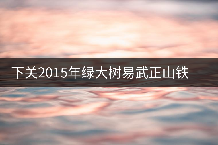 下關(guān)2015年綠大樹易武正山鐵餅開湯品鑒