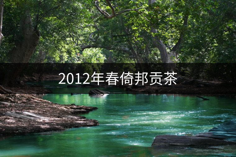 2012年春倚邦貢茶