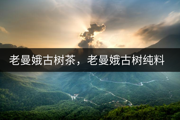 老曼娥古樹茶，老曼娥古樹純料生餅