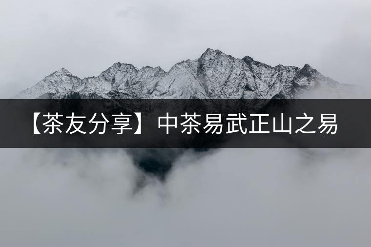 【茶友分享】中茶易武正山之易武茶滋味品后感