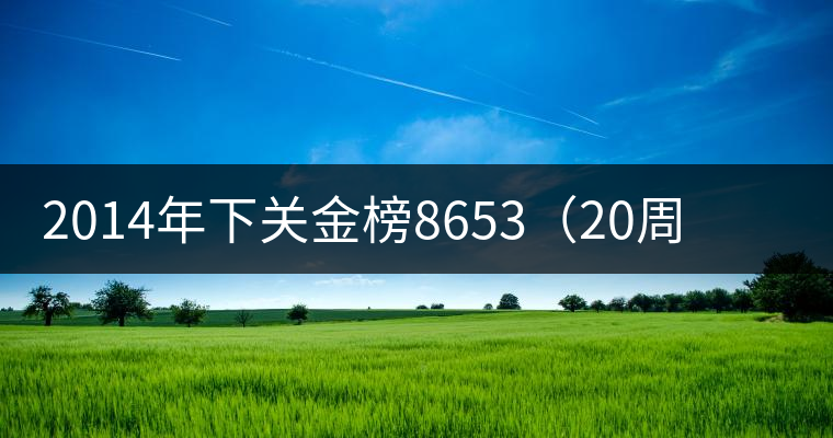 2014年下關(guān)金榜8653(20周年紀(jì)念餅)品評 2014年下關(guān)金榜8653(20周年紀(jì)念餅)品評