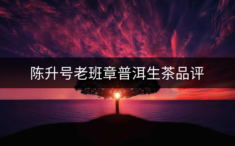 陳升號(hào)老班章普洱生茶品評(píng)