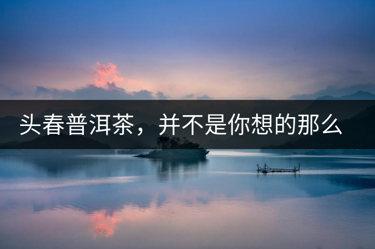 頭春普洱茶，并不是你想的那么好