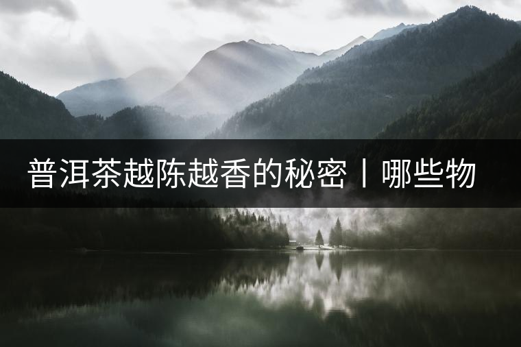 普洱茶越陳越香的秘密丨哪些物質會發(fā)生變化呢? 普洱茶越陳越香的秘密丨哪些物質會發(fā)生變化呢?