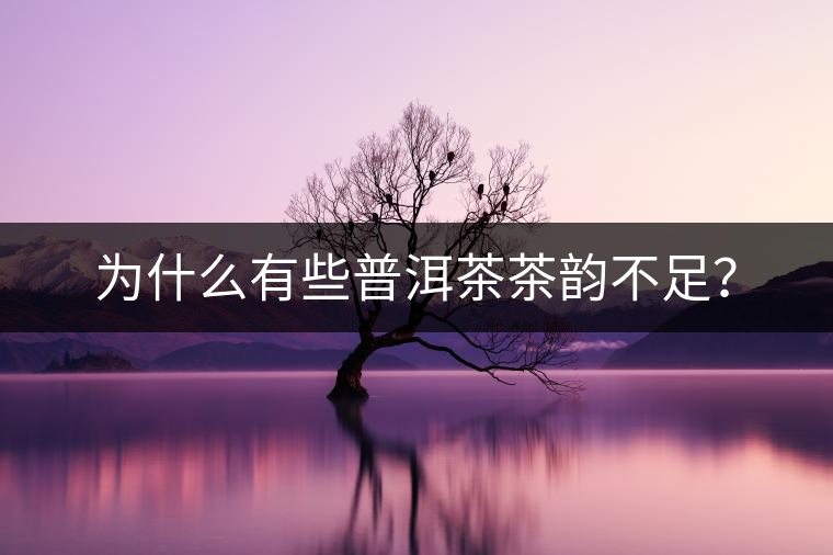 為什么有些普洱茶茶韻不足？